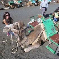Antonia, 35 години , Хетеросексуален/аBonn, Germany